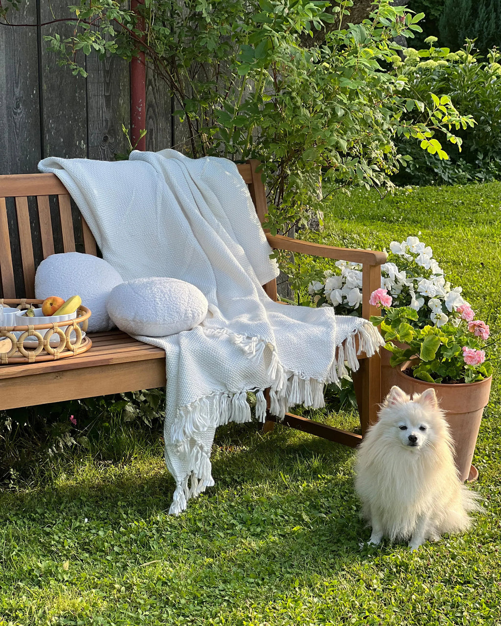 Banc de jardin 180 cm Bois d'acacia certifié Marron clair