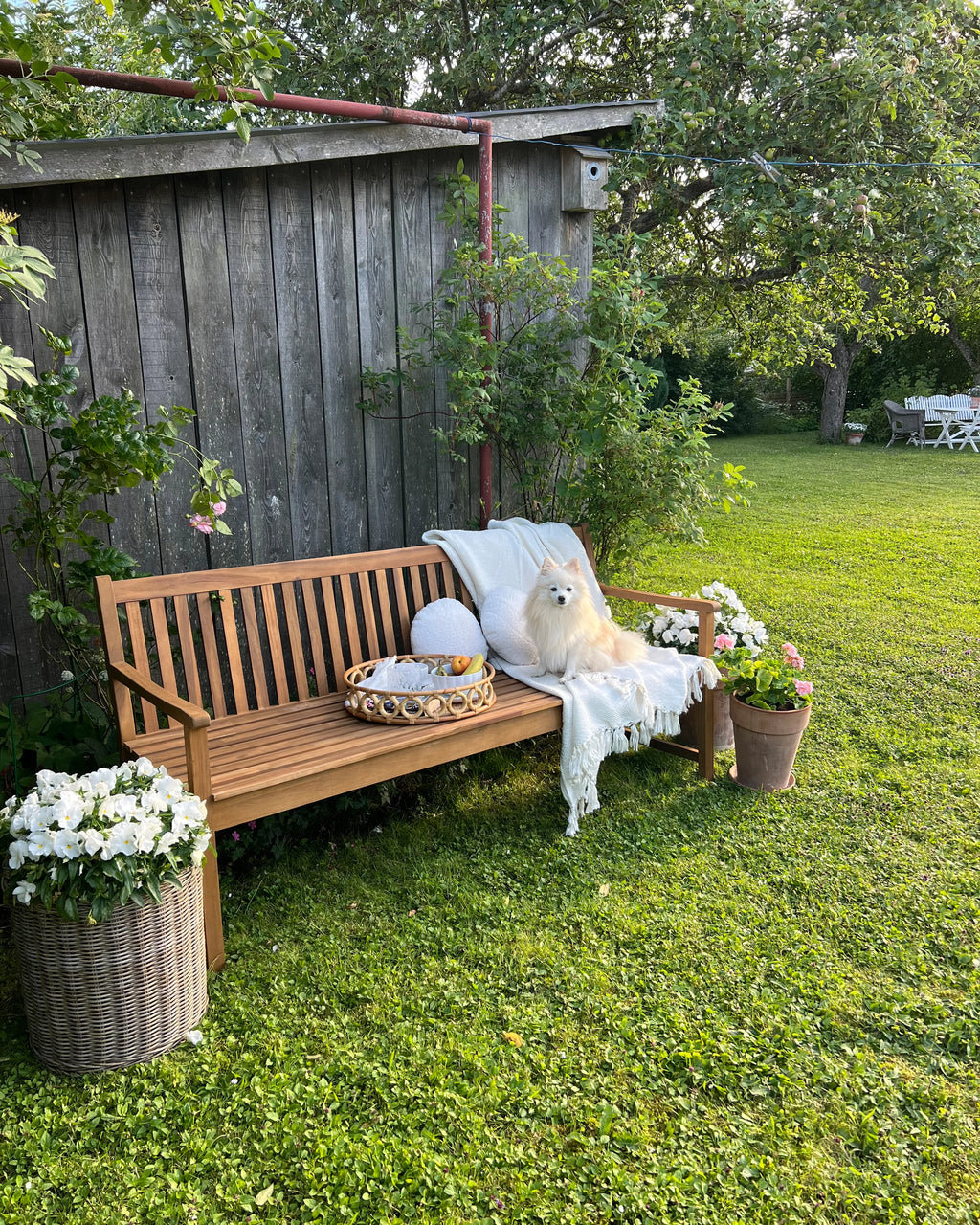 Banc de jardin 180 cm Bois d'acacia certifié Marron clair