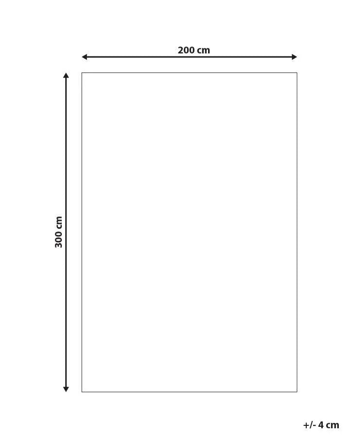 Tapis Beige 200 x 300 cm Laine
