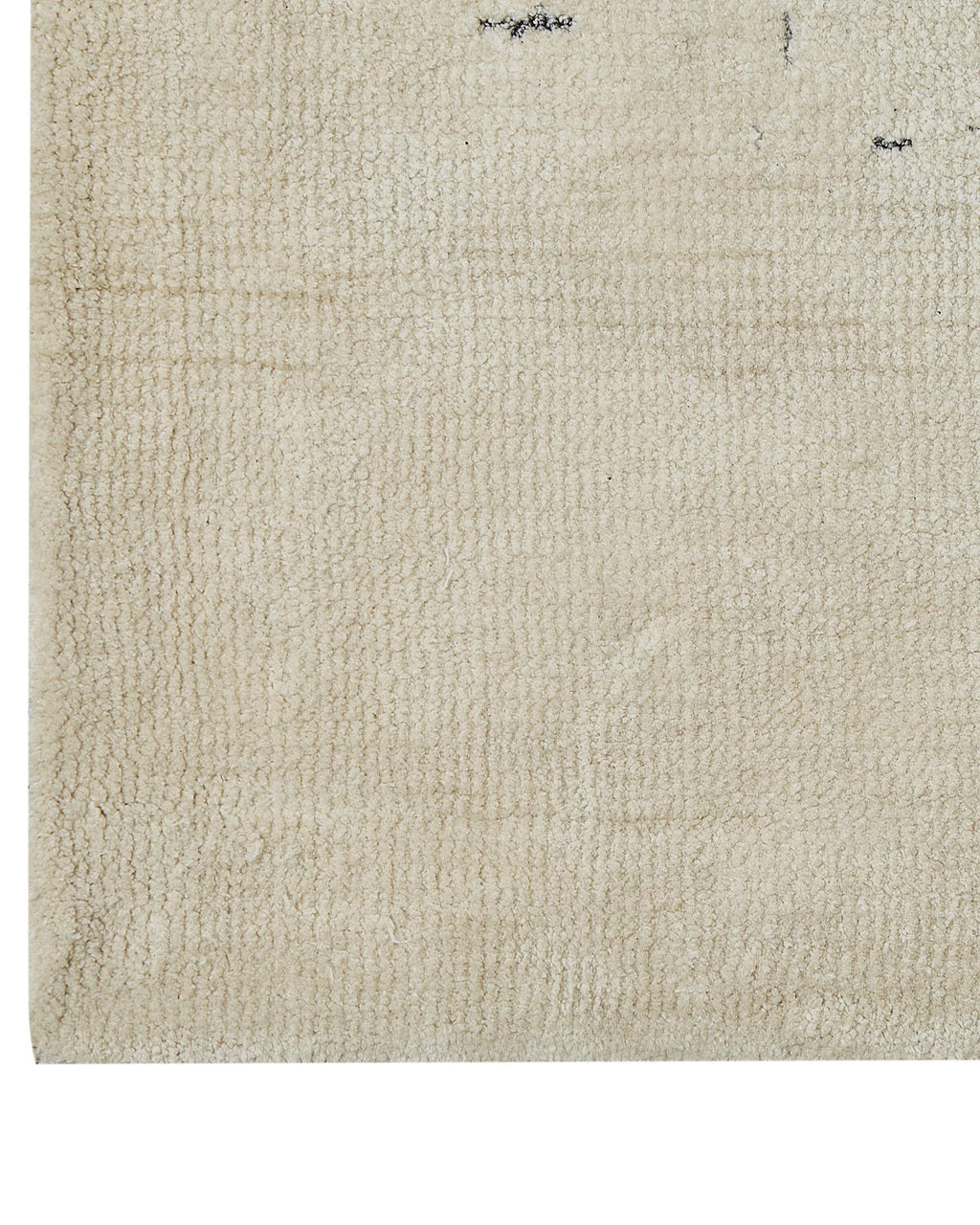 Tapis beige clair 300 x 400 cm